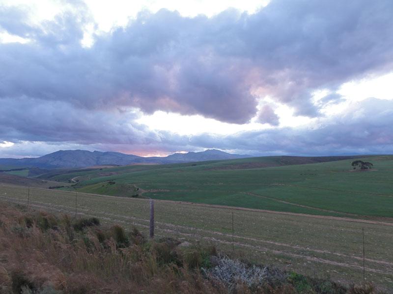 DSC03001