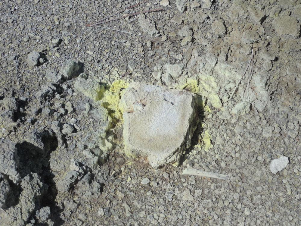 Nova Zelandija Sever (87)