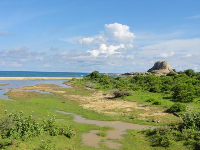 DSC01062