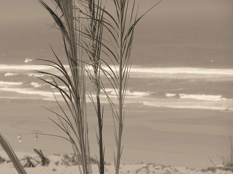 Maroko, maj 2007 190