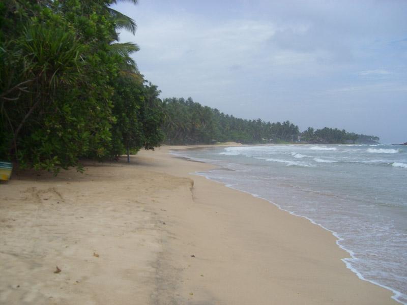 Šri Lanka, maj 2008 270