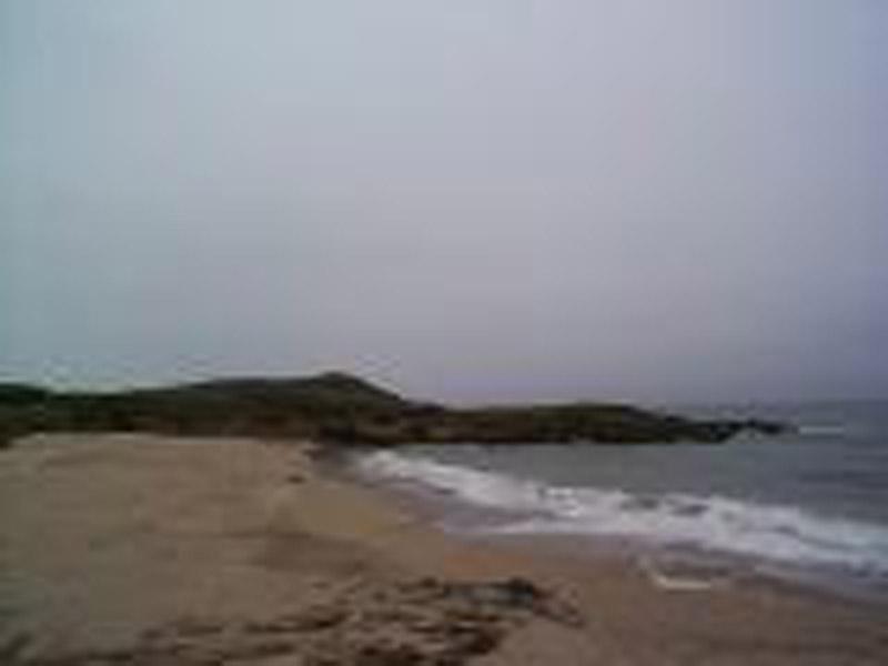 BeanHollowStateBeach1