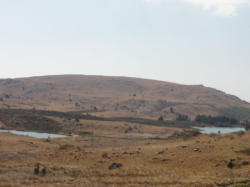 DSC00405