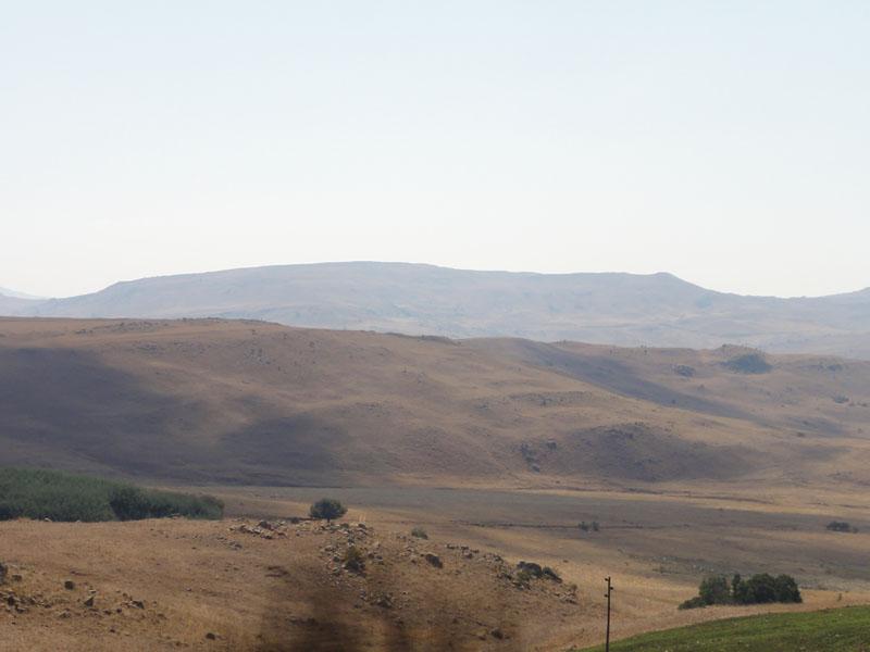 DSC00408