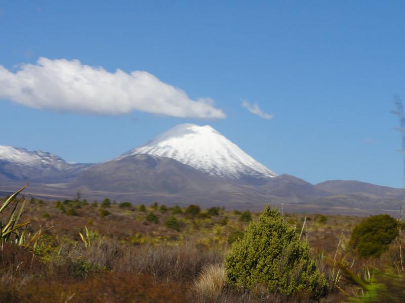 Nova Zelandija Sever (176)