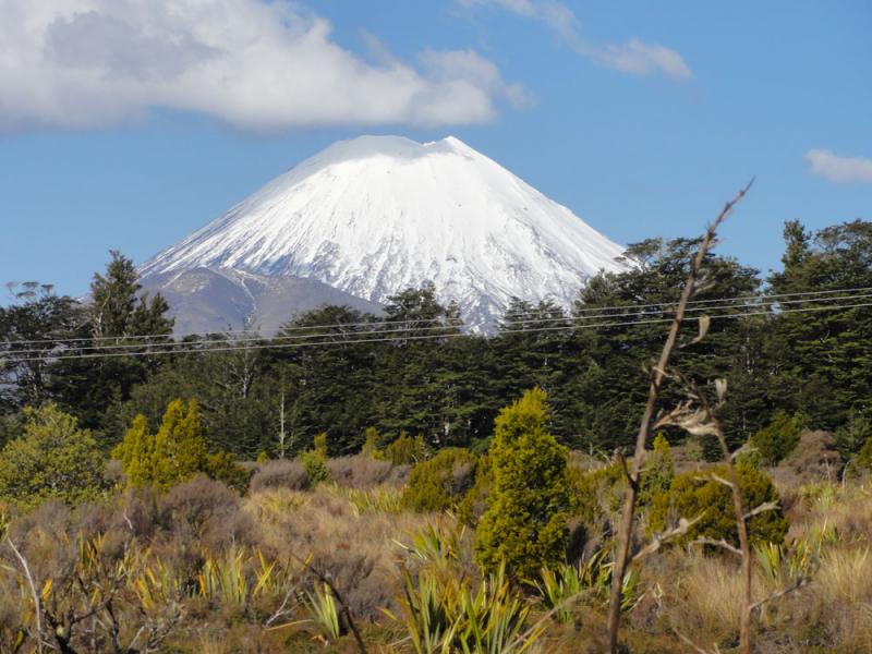 Nova Zelandija Sever (177)