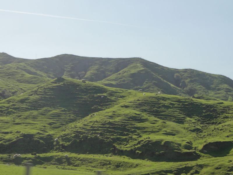 Nova Zelandija Sever (183)