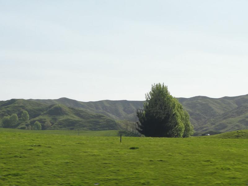 Nova Zelandija Sever (186)