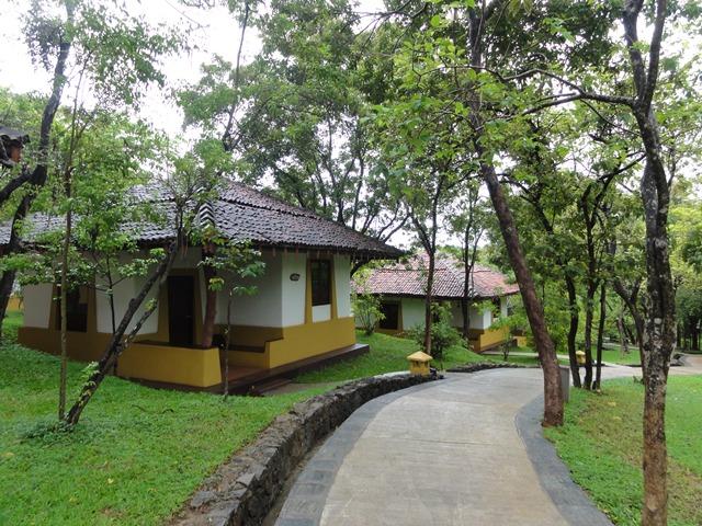 DSC01167