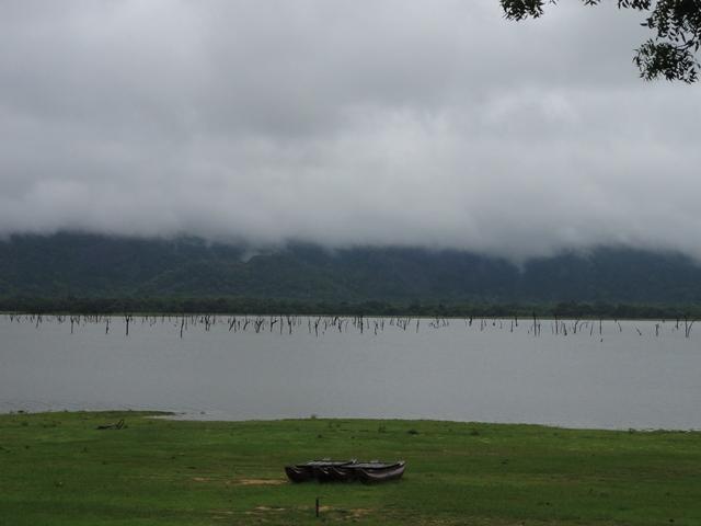 DSC01170