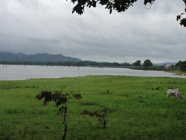 DSC01171