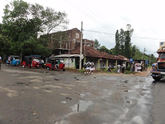 DSC01239