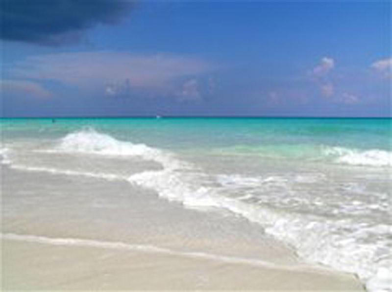 0000127477 s 0 CHJvyZ