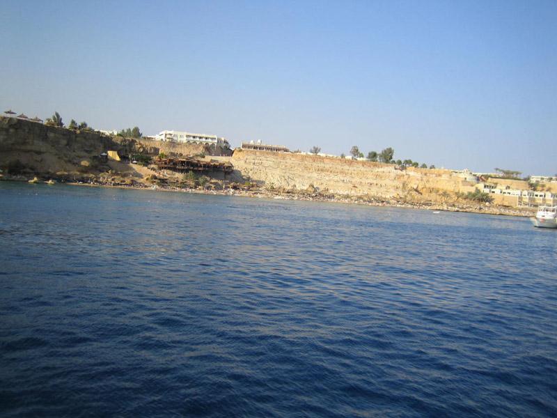 IMG 0087