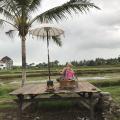 Indonezija 2017